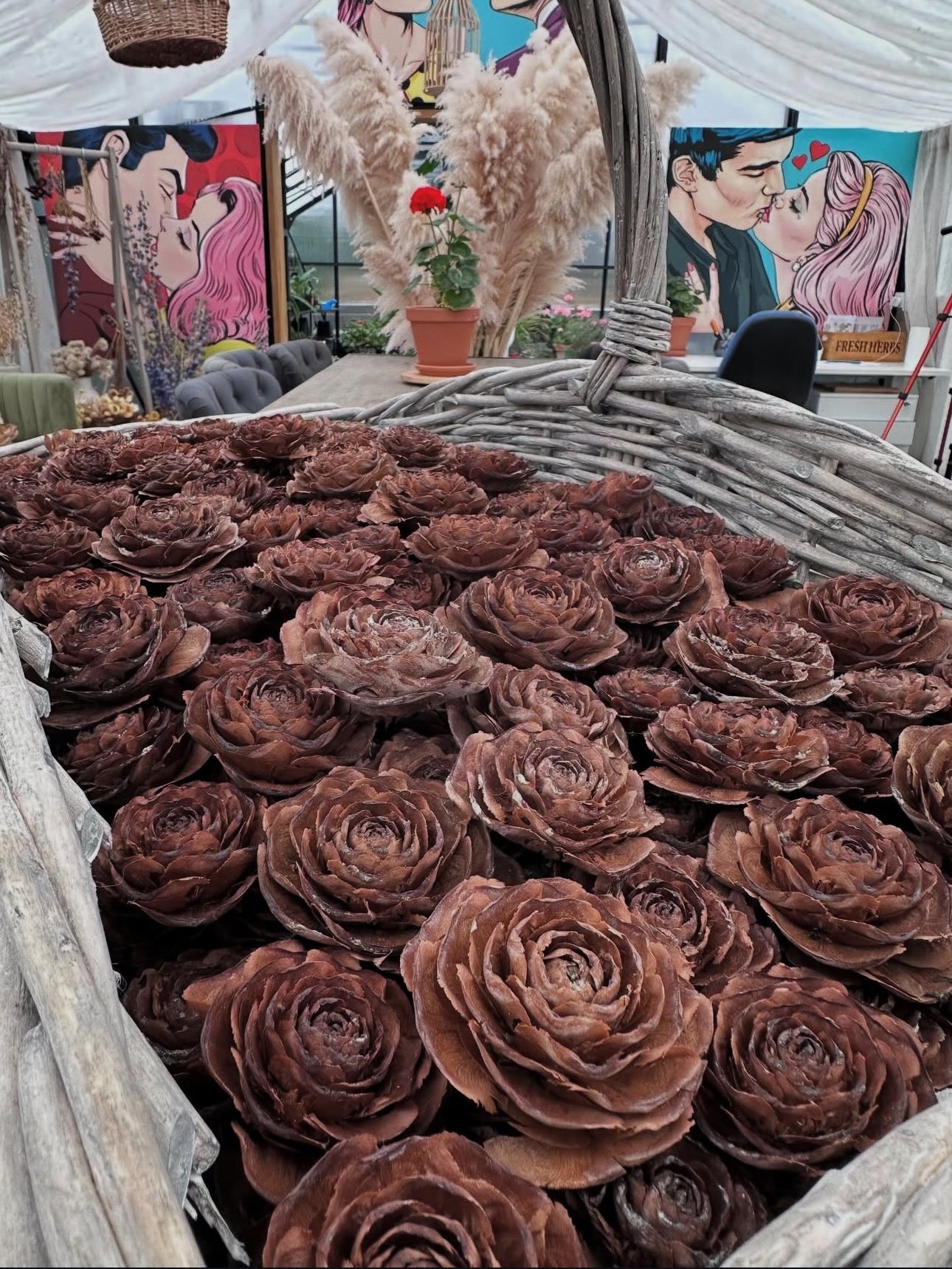 Himalayan Cedar Cones