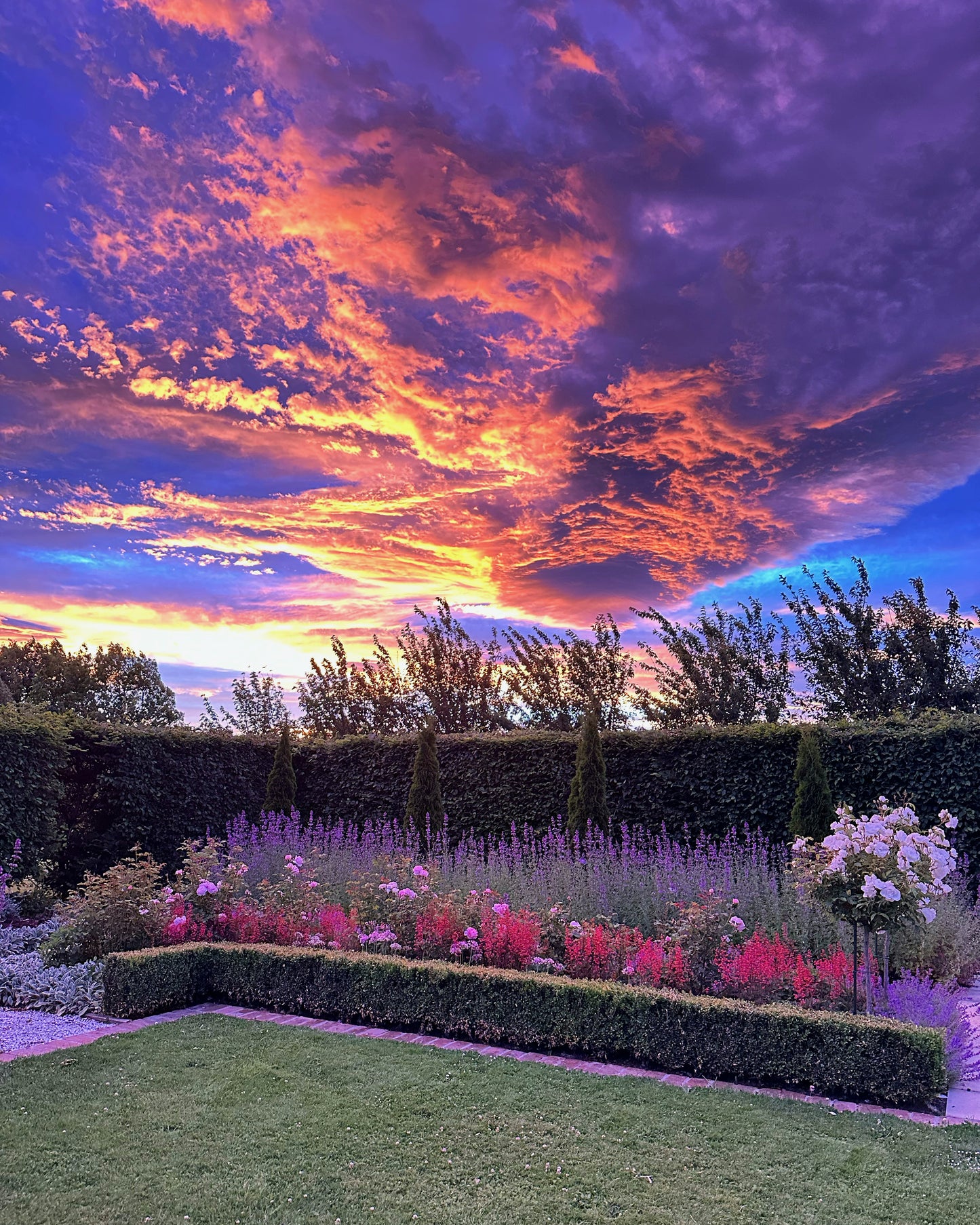 Self-Guided Garden Tour of Oasis Cottage