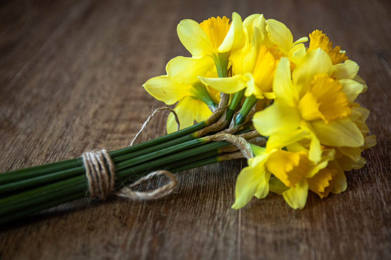 Box of Sunshine – 30 Fresh Daffodils