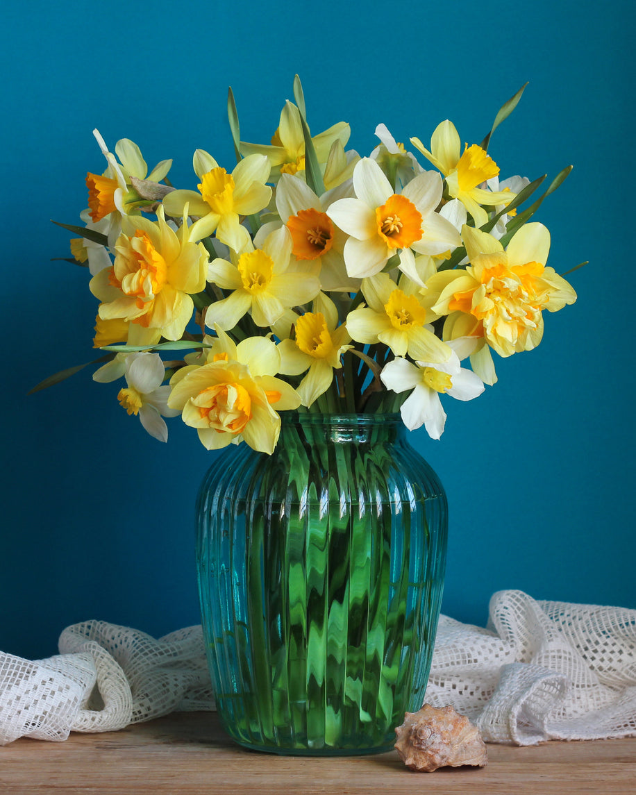 Box of Sunshine – 30 Fresh Daffodils