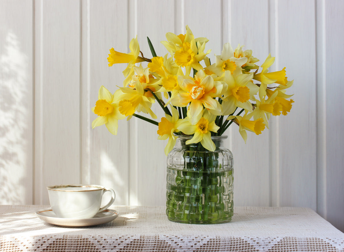 Box of Sunshine – 30 Fresh Daffodils