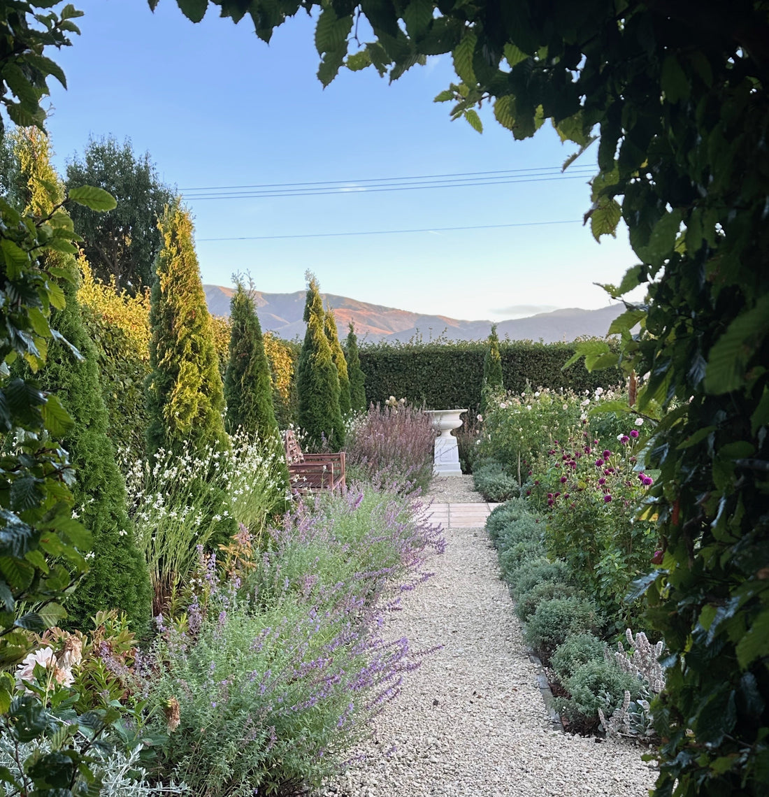 Gravel pathway leading to a white urn in the Princess Garden at Oasis Cottage