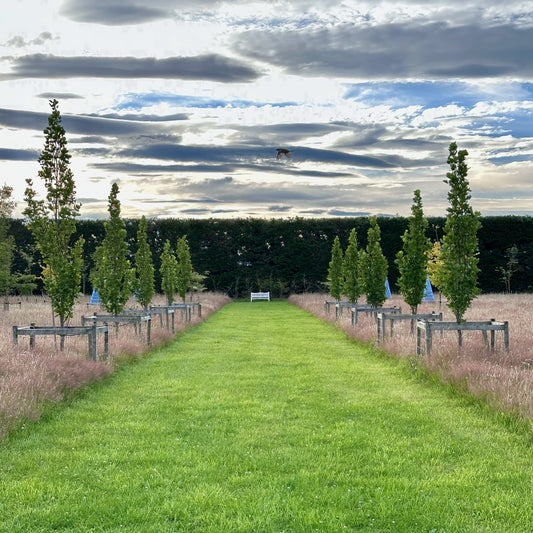 The Quiet Work That Keeps a Garden Running