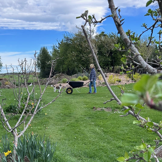 The Discipline of a Small Garden Team