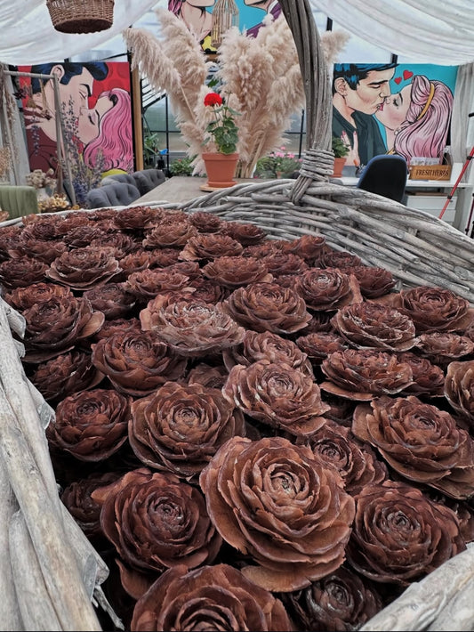 Himalayan Cedar Cones